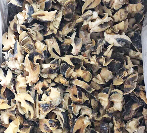 上海玉螺切片