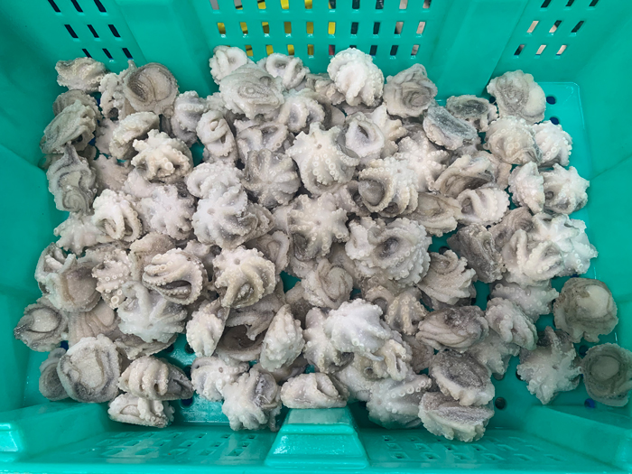 凍煮八抓魚(yú)